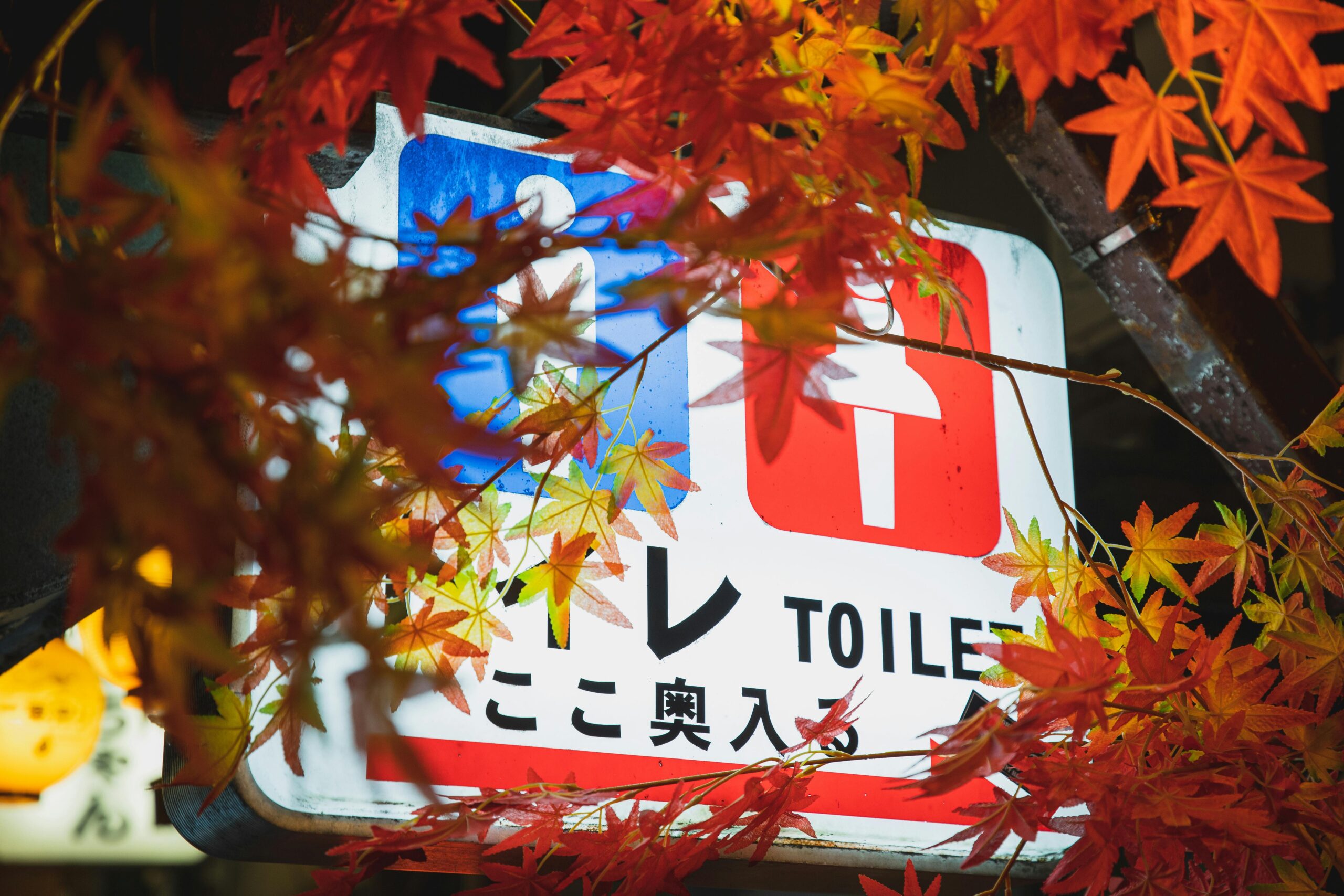 宮古島観光スポット イメージ写真