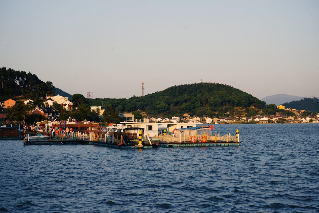 A body of water with a bunch of boats in it