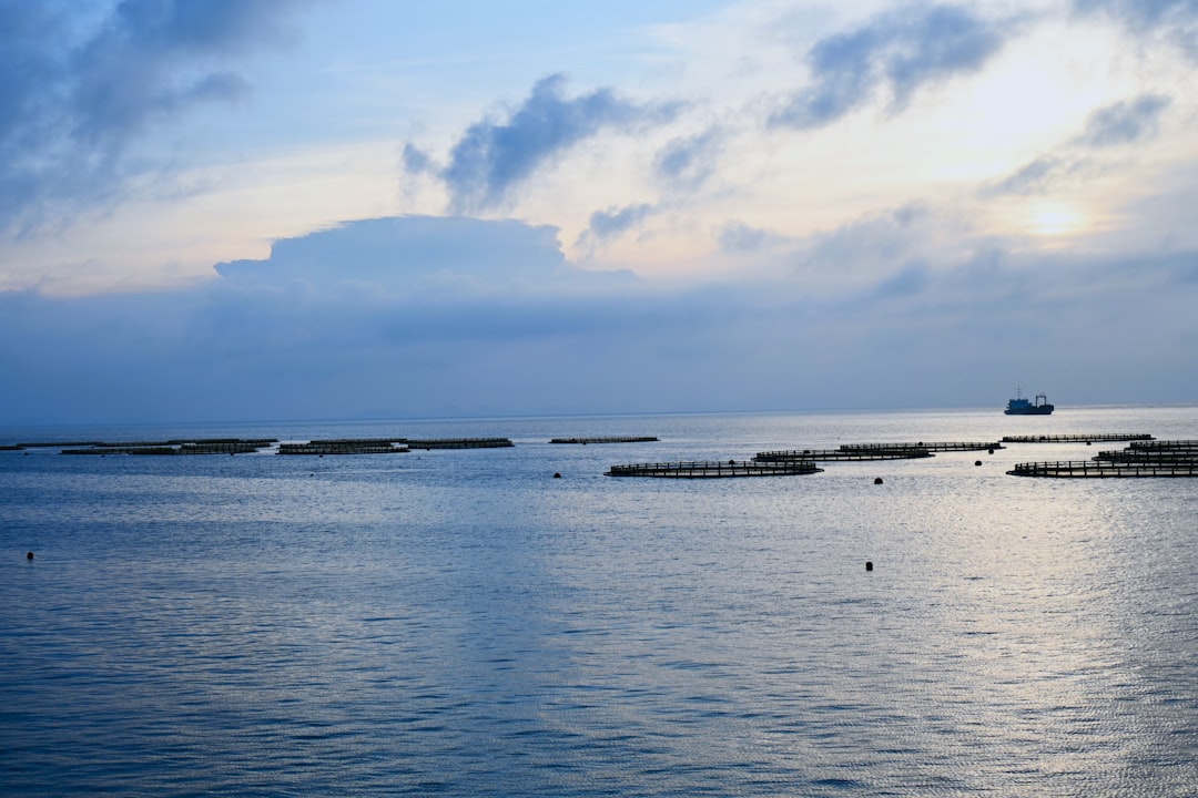 Calm ocean and a cloudy sky.