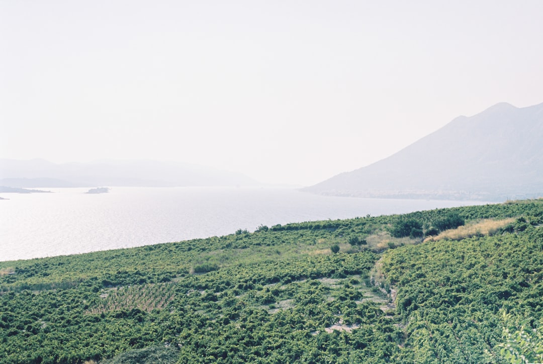 a view of a lush green hillside next to a body of water