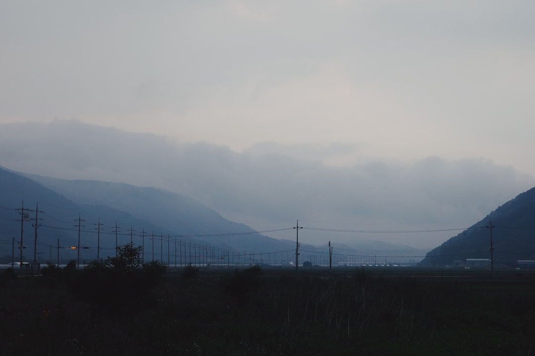 A field with a mountain in the background