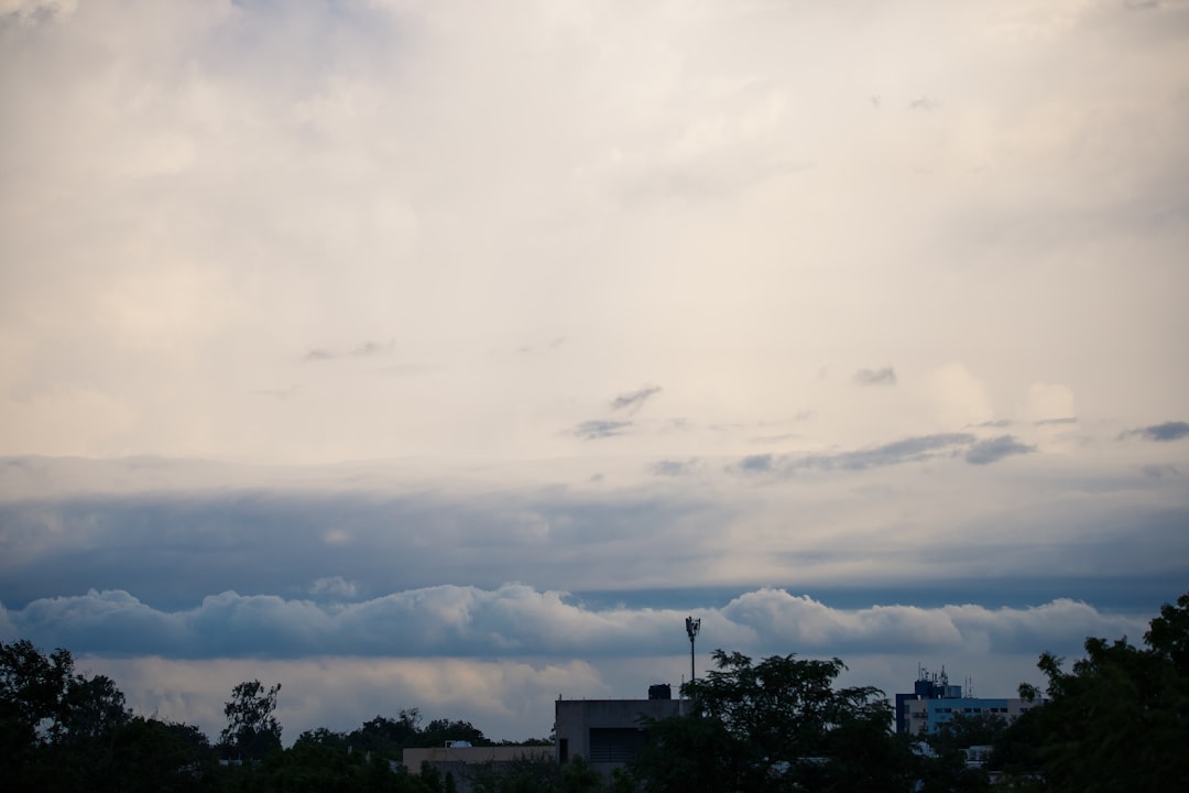 green trees under white clouds during daytime