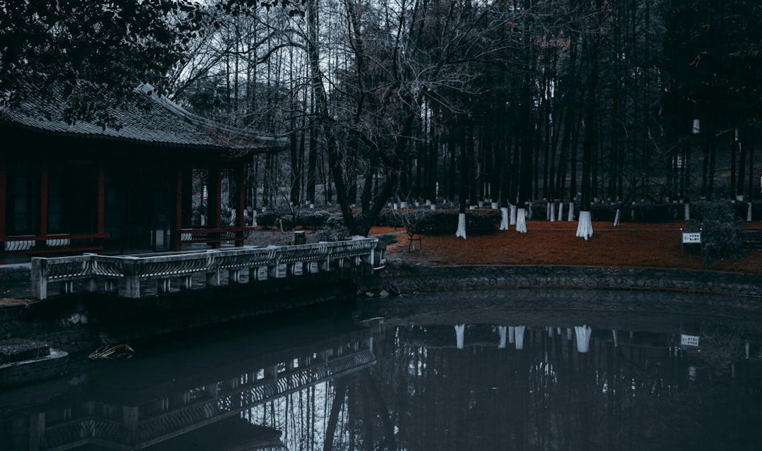 brown wooden house near trees and river during daytime