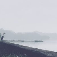 person standing on a rock by the sea