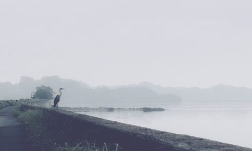 person standing on a rock by the sea