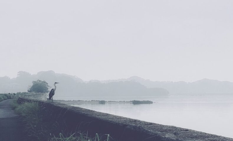 person standing on a rock by the sea