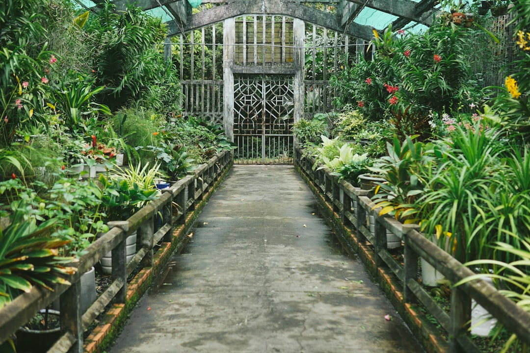a walkway in a garden filled with lots of plants