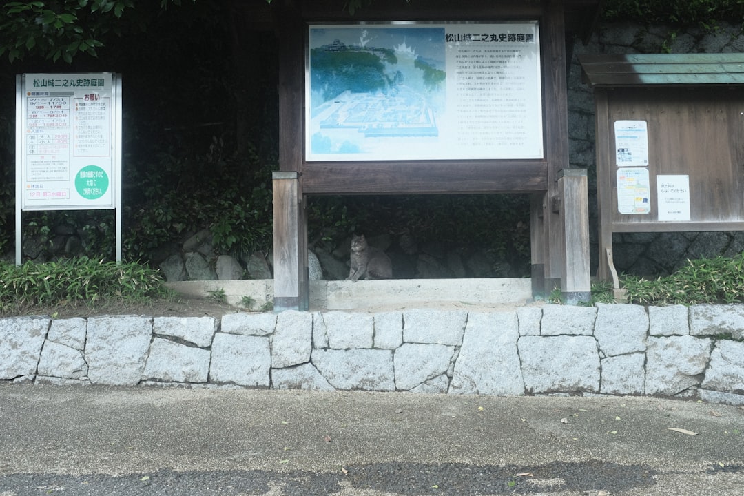 There are two signs on the side of the road